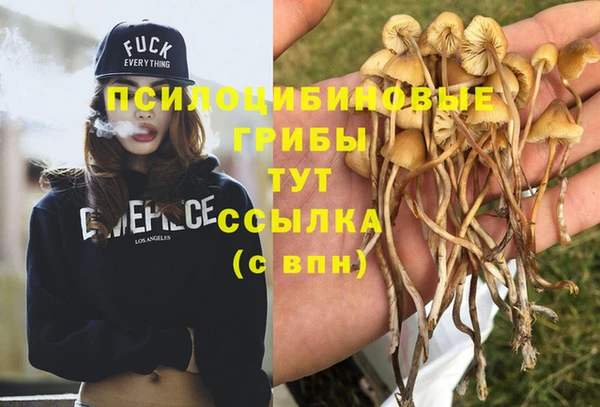 a pvp Балабаново