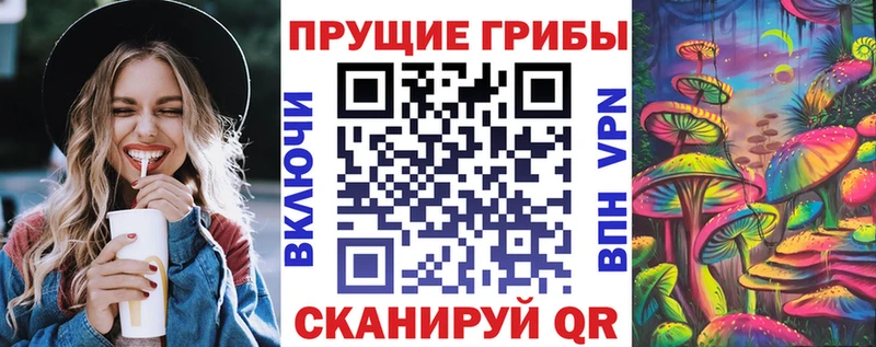 Галлюциногенные грибы ЛСД shop какой сайт Козельск закладки